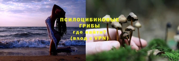 трава Армянск