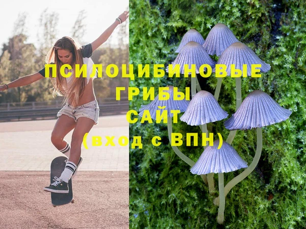 трава Армянск